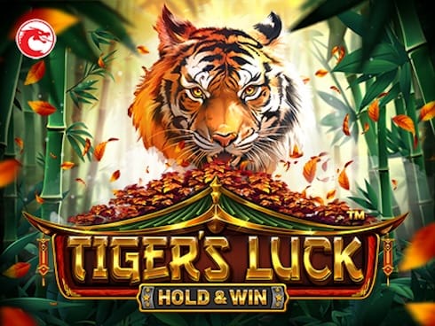 Tiger's Luck - Hold and Win screenshot
